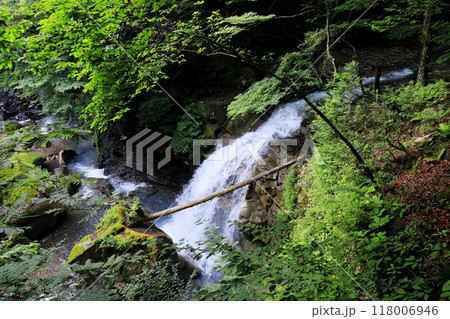 那須塩原の秘境スッカン沢　滝めぐり　仁三郎の滝 118006946