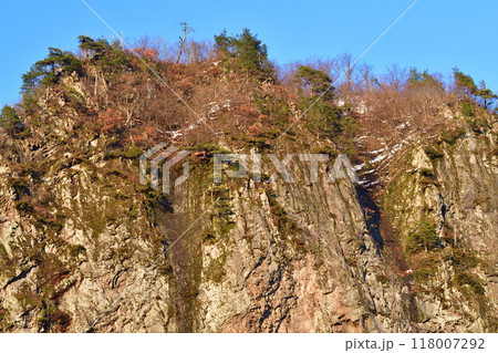 八木ヶ鼻(新潟県） 118007292