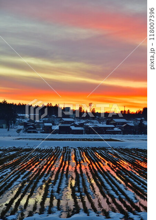 冬の田園風景　夕方（新潟県） 118007396