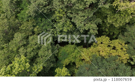 Aerial view the Tropical forest Healthy environment green tone Aerial view the Tropical forest Healthy environment green tone 118007659