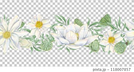 White lotus with greenery, seed head, bud flowers watercolor seamless border. Water lily and eucalyptus branches horizontal painting illustration. Tropical aquatic flower decor for wedding textile 118007857