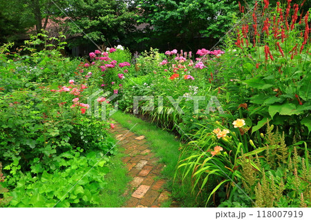 初夏の上野ファーム　花とレンガの小道 118007919