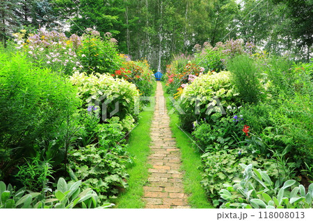 初夏の上野ファーム　ミラーボーダー 118008013