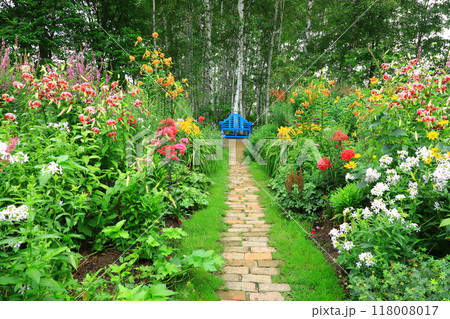 初夏の上野ファーム　ミラーボーダー 118008017