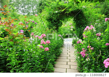 初夏の上野ファーム　満開の花々 118008627