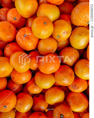 lots of ripe orange tangerines citrus background lots of ripe orange tangerines citrus background 118008652