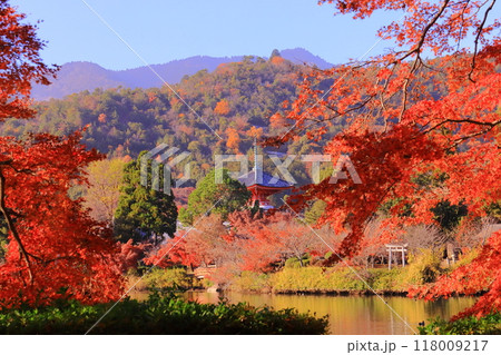 大覚寺（京都市右京区）大沢池と心経宝塔周辺庭園の紅葉 118009217