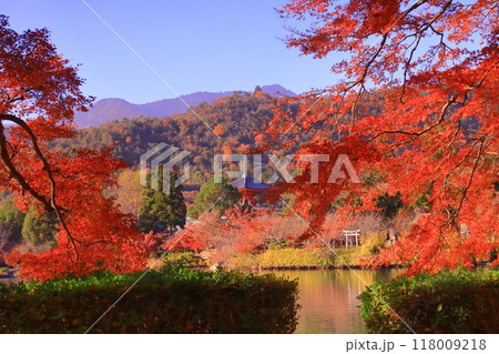 大覚寺（京都市右京区）大沢池と心経宝塔周辺庭園の紅葉 118009218
