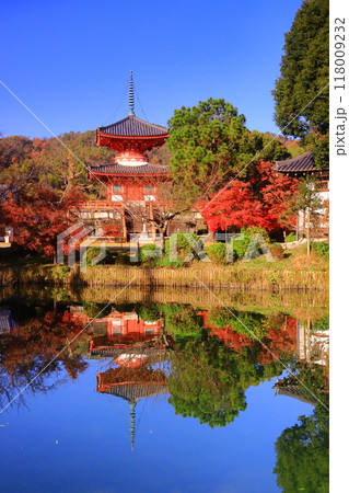 大覚寺(京都市右京区)大沢池と心経宝塔周辺庭園の紅葉 大覚寺(京都市右京区)大沢池と心経宝塔周辺庭園の紅葉 118009232