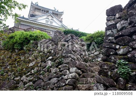 福井県大野市 越前大野城 福井県大野市 越前大野城 118009508
