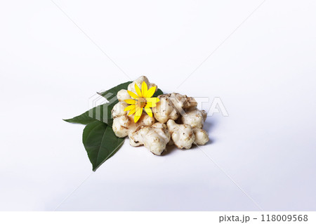 Jerusalem artichoke tubers on a white background Jerusalem artichoke tubers on a white background 118009568