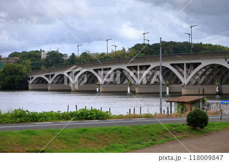 手賀沼と手賀大橋（千葉県） 118009847