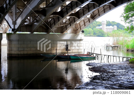 手賀沼と手賀大橋（千葉県） 118009861