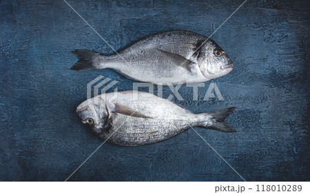 fresh raw dorado fish, on a dark blue background, top view, two pieces, no people, fresh raw dorado fish, on a dark blue background, top view, two pieces, no people, 118010289