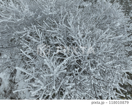 樹氷 118010879