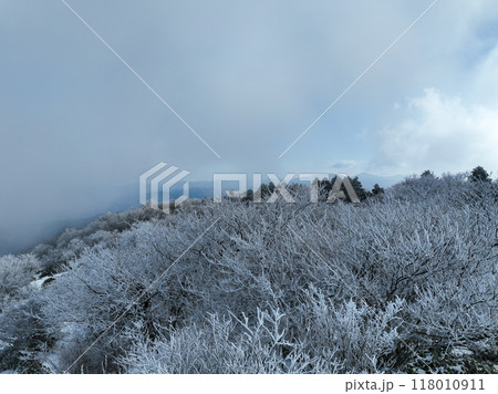 高知県仁淀川町 真冬の中津明神山 山頂付近の風景 高知県仁淀川町 真冬の中津明神山 山頂付近の風景 118010911