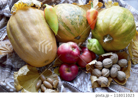 ripe gifts of autumn on a warm blanket and yellow maple leaves ripe gifts of autumn on a warm blanket and yellow maple leaves 118011023