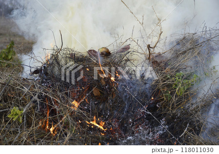 fire and acrid thick smoke from burning dry leaves, branches and grass fire and acrid thick smoke from burning dry leaves, branches and grass 118011030