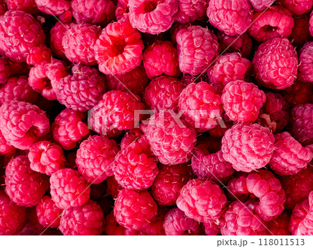 Fresh raspberries as a background. Organic Raspberries at the Farmer's Market Fresh raspberries as a background. Organic Raspberries at the Farmer's Market 118011513