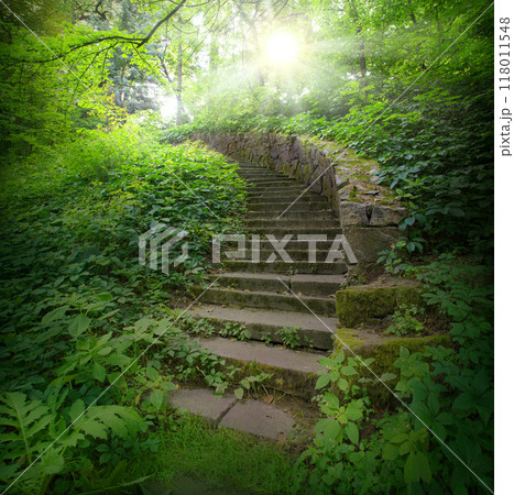 Old stone stairs in the park Old stone stairs in the park 118011548