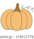 Pumpkin  118011778