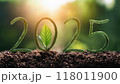 Numbers 2025 from green leaves background of nature. Eco-friendly Christmas banner for environmental protection. 118011900