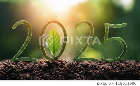 Numbers 2025 from green leaves background of nature. Eco-friendly Christmas banner for environmental protection. 118011900
