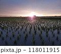 夕日 118011915