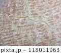 肌荒れ 118011963