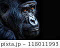 いかついゴリラ 118011993