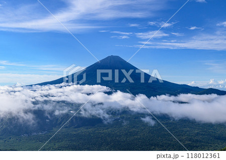 夏山絶景・御坂山地より望む青空と富士山 118012361