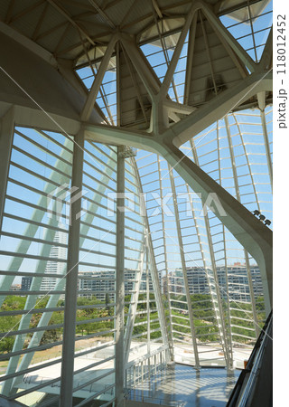 Interior of Valencia's Natural History Museum Showcasing Architectural Grandeur and Educational Exhibits. Immersive Experience Inside Valencia's Science Museum Featuring Innovative Displays and 118012452