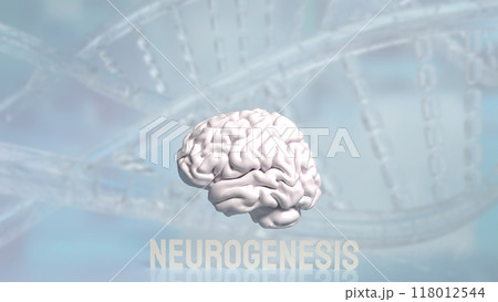 The Brain and neurogenesis text for sic or health concept 3d rendering. The Brain and neurogenesis text for sic or health concept 3d rendering. 118012544