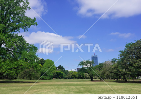 都会の公園と空 都会の公園と空 118012651