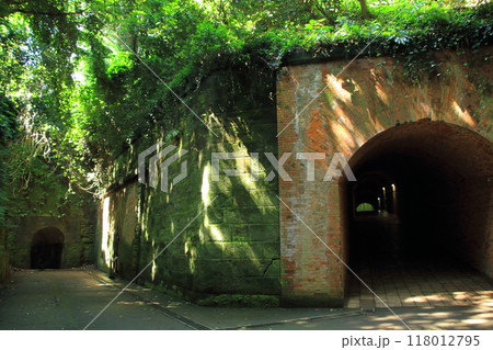 神奈川県横須賀市_猿島に残る旧日本軍の要塞跡 神奈川県横須賀市_猿島に残る旧日本軍の要塞跡 118012795
