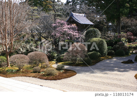 春の訪れを告げる庭園と枯山水 118013174
