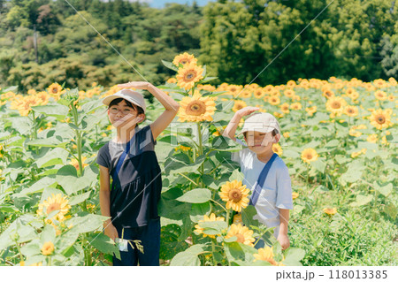ひまわり畑と子供の様子 118013385