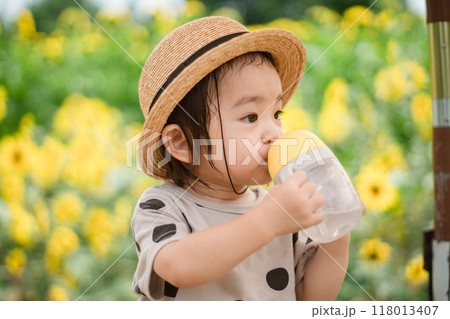 ひまわり畑と子供の様子 118013407