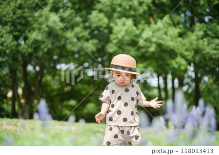 ひまわり畑と子供の様子 ひまわり畑と子供の様子 118013413