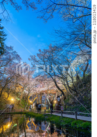 長野県伊那市 天下第一の桜と言われる池越しの高遠城址公園満開の夜桜 現れるハート型の空 長野県伊那市 天下第一の桜と言われる池越しの高遠城址公園満開の夜桜 現れるハート型の空 118013419