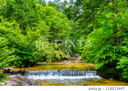 長野 赤沢自然休養林　床堰 118013447