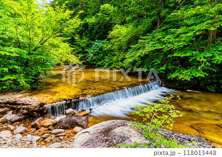 長野 赤沢自然休養林　床堰 118013448