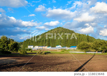 クロマンタ 118013648