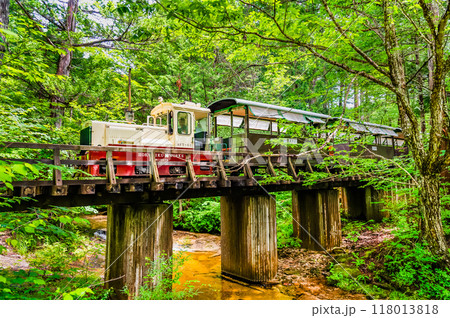 長野 赤沢自然休養林　森林鉄道 118013818