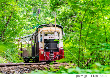 長野 赤沢自然休養林　森林鉄道 118013820