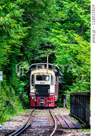 長野 赤沢自然休養林 森林鉄道 長野 赤沢自然休養林 森林鉄道 118013824