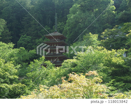 初夏の奈良長谷寺 118013842