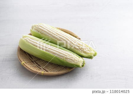 白いとうもろこし 白いとうもろこし 118014025