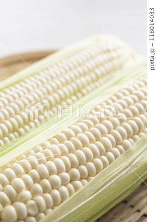 白いとうもろこし 118014033