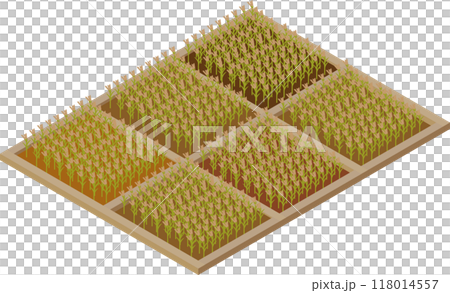 水稻收割前鄉村景觀等距影像素材 118014557